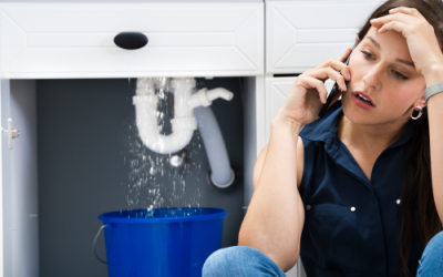Plombier ou bricolage : dans quels cas faut-il appeler un pro ?